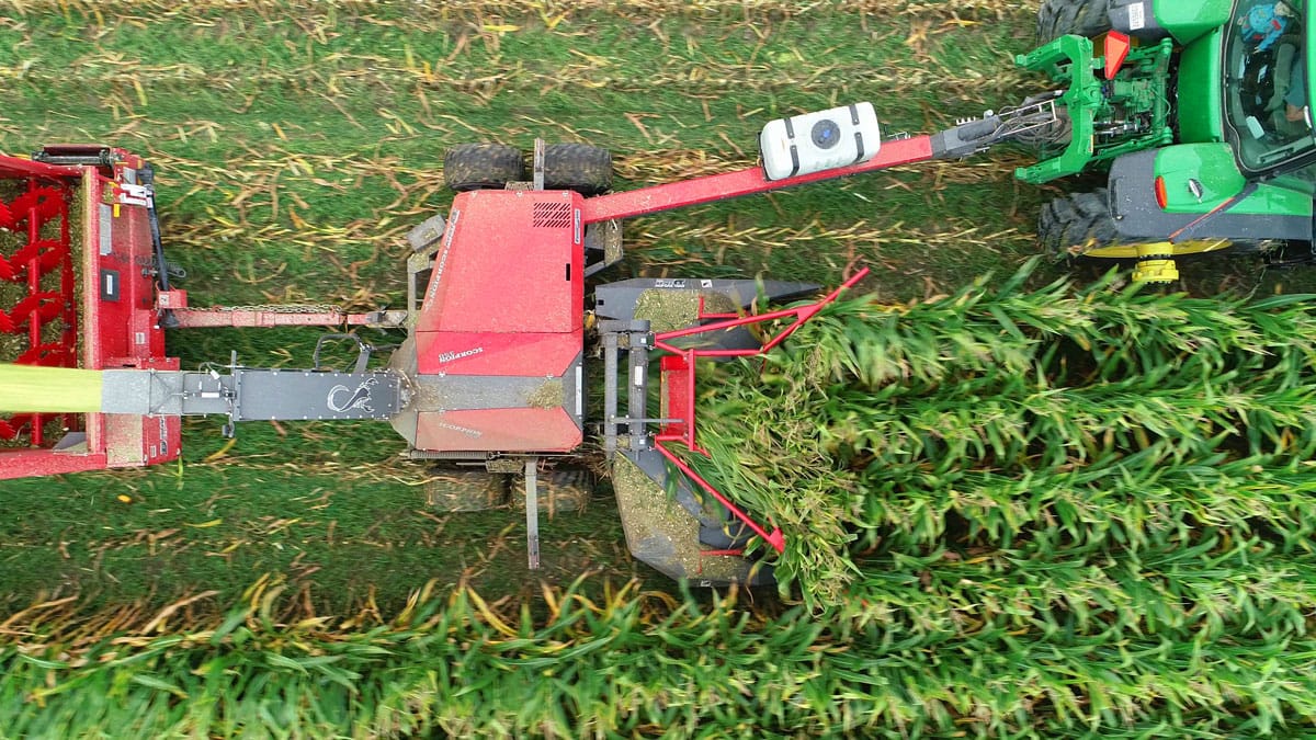 Scorpion 350 Forage Harvester chopping corn with a Rotary corn header in a field